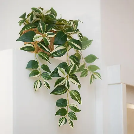 Appartement Lussuoso Vicino Ai Musei Vaticani *